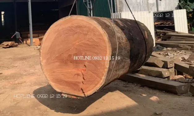 Ứng dụng của gỗ gõ đỏ trong lĩnh vực đồ gỗ nội thất