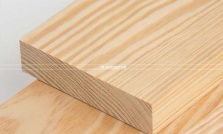 Gỗ thông : đặc điểm và ứng dụng trong nội thất