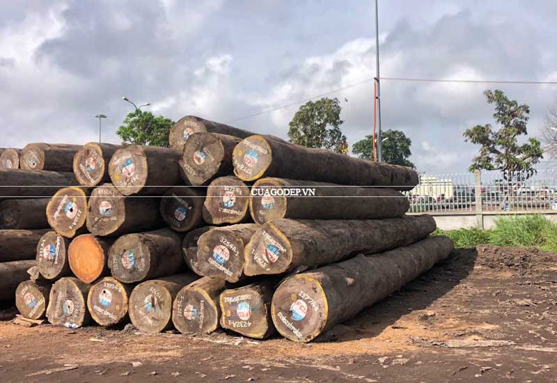 Các loại gỗ chịu nước tốt để làm nội ngoại thất